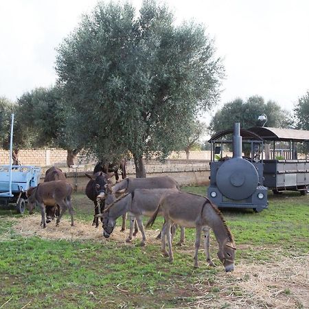 Penzion Masseria Grande Taurisano Exteriér fotografie