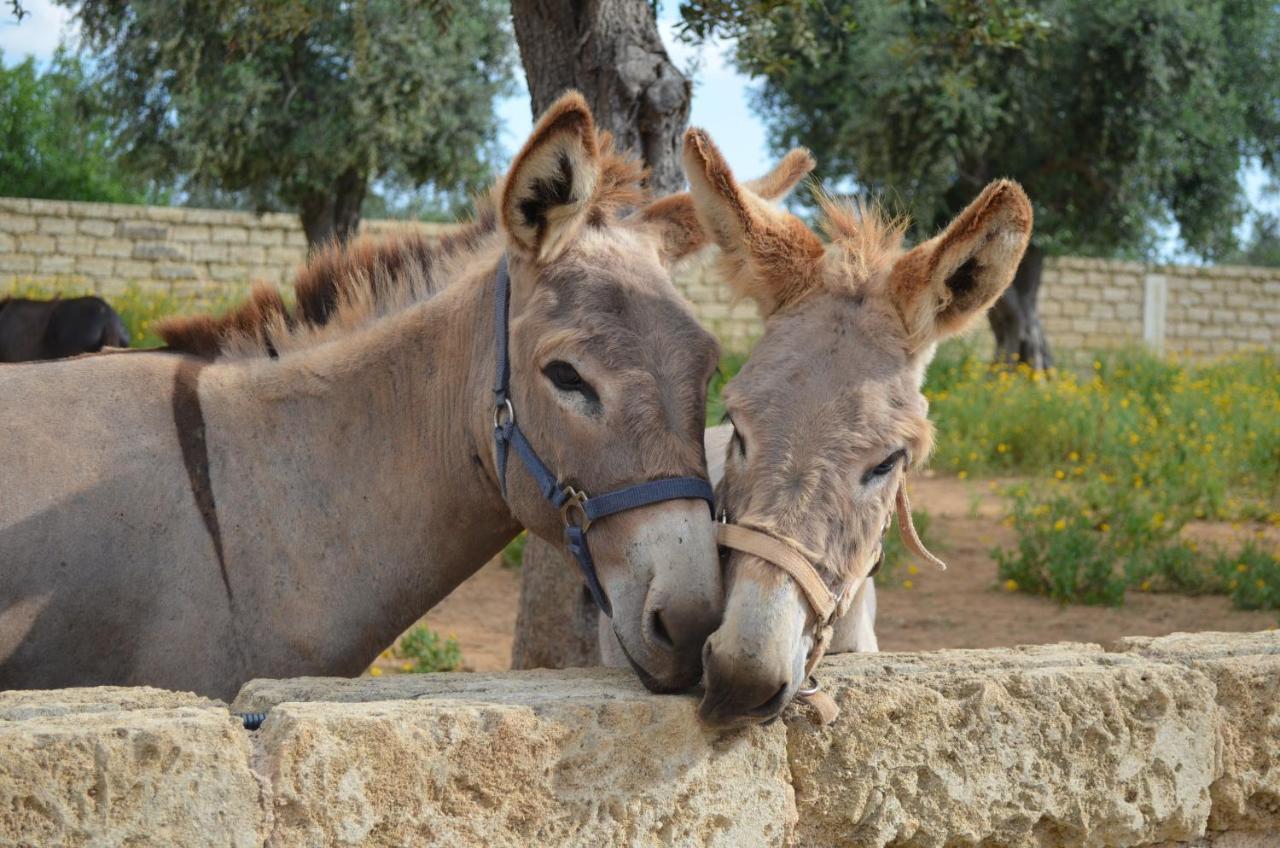 Masseria Grande Taurisano Exteriér fotografie