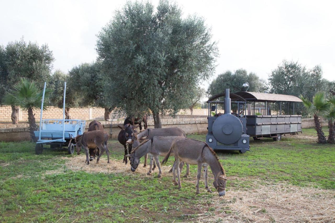 Penzion Masseria Grande Taurisano Exteriér fotografie